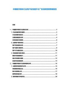 中國數字媒體行業用戶粘性提升與廣告創新營銷策略報告