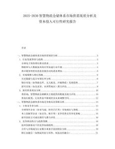 2025-2030智慧物流倉儲體系市場供需現(xiàn)狀分析及資本投入可行性研究報告