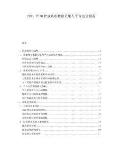 2025-2030智慧城市數(shù)據(jù)采集與平臺(tái)運(yùn)營(yíng)服務(wù)