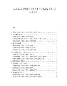 2025-2030智慧出行解決方案行業(yè)市場發(fā)展?jié)摿εc投資評估