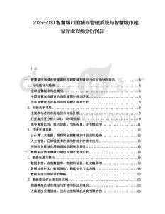 2025-2030智慧城市的城市管理系統(tǒng)與智慧城市建設(shè)行業(yè)市場(chǎng)分析報(bào)告