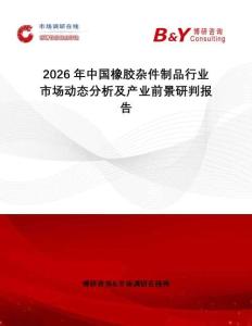 2026年中國橡膠雜件制品行業市場動態分析及產業前景研判報告