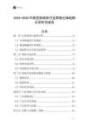 2025-2030年新型鈰磁體行業跨境出海戰略分析研究報告