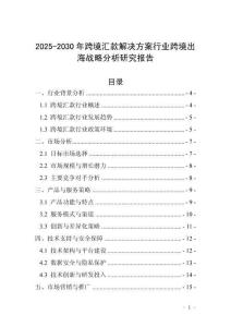 2025-2030年跨境匯款解決方案行業(yè)跨境出海戰(zhàn)略分析研究報(bào)告
