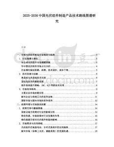 2025-2030中國光伏組件制造產(chǎn)品技術(shù)路線圖譜研究