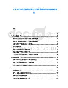 2025動(dòng)力總成電控系統(tǒng)行業(yè)技術(shù)路線選擇與配套體系報(bào)告