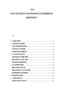 2025-2030中國(guó)光伏組件行業(yè)市場(chǎng)供需分析及發(fā)展戰(zhàn)略評(píng)估規(guī)劃研究報(bào)告