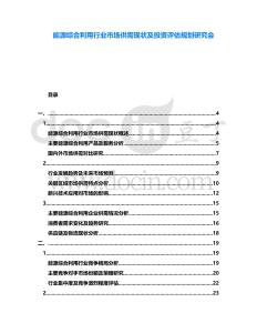 能源綜合利用行業(yè)市場(chǎng)供需現(xiàn)狀及投資評(píng)估規(guī)劃研究會(huì)