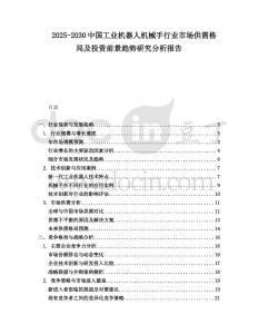 2025-2030中國工業(yè)機(jī)器人機(jī)械手行業(yè)市場供需格局及投資前景趨勢研究分析報(bào)告
