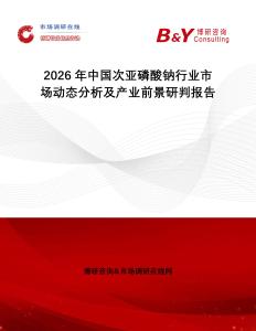 2026年中國次亞磷酸鈉行業(yè)市場動態(tài)分析及產(chǎn)業(yè)前景研判報告