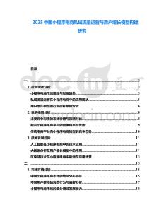 2025中國小程序電商私域流量運營與用戶增長模型構(gòu)建研究
