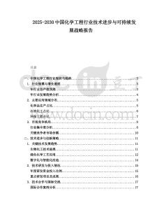 2025-2030中國化學(xué)工程行業(yè)技術(shù)進(jìn)步與可持續(xù)發(fā)展戰(zhàn)略報(bào)告