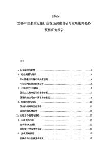 2025-2030中國航空運(yùn)輸行業(yè)市場深度調(diào)研與發(fā)展策略趨勢預(yù)測研究報(bào)告