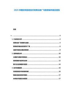 2025中國空間信息技術(shù)民用化推廣與智慧城市融合報告