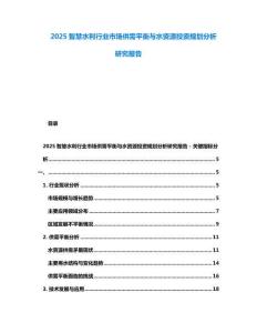 2025智慧水利行業(yè)市場(chǎng)供需平衡與水資源投資規(guī)劃分析研究報(bào)告