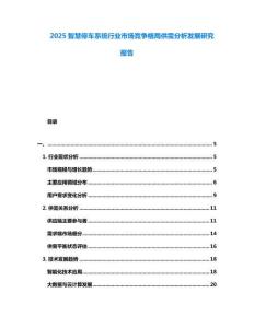 2025智慧停車系統(tǒng)行業(yè)市場(chǎng)競(jìng)爭(zhēng)格局供需分析發(fā)展研究報(bào)告