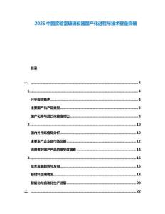2025中國實驗室玻璃儀器國產(chǎn)化進程與技術(shù)壁壘突破
