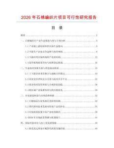 2026年石棉編織片項目可行性研究報告