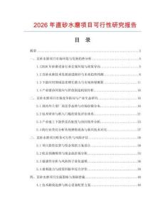 2026年直砂水磨項目可行性研究報告