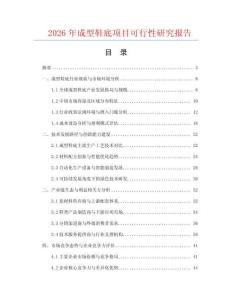 2026年成型鞋底項目可行性研究報告