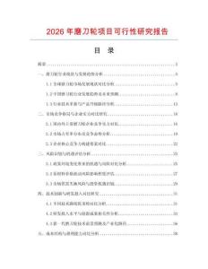 2026年磨刀輪項目可行性研究報告
