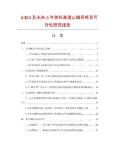 2026及未來5年美標(biāo)高溫止回閥項目可行性研究報告
