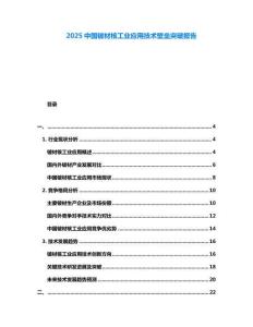 2025中國鈹材核工業(yè)應(yīng)用技術(shù)壁壘突破報告
