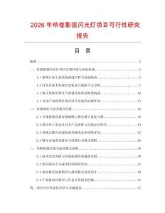 2026年玲瓏影視閃光燈項目可行性研究報告