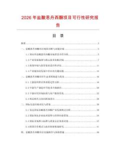 2026年鹽酸恩丹西酮項目可行性研究報告