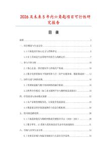 2026及未来5年内六角匙项目可行性研究报告