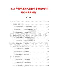2026年塑料型材雙軸自動(dòng)水槽銑床項(xiàng)目可行性研究報(bào)告