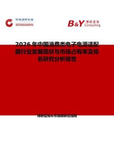 2026年中国消费类电子电源适配器行业发展现状与市场占有率及排名研究分析报告
