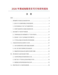 2026年剪絨拖鞋項(xiàng)目可行性研究報(bào)告