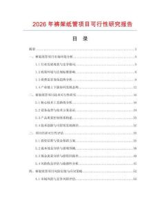 2026年褲架紙管項(xiàng)目可行性研究報(bào)告