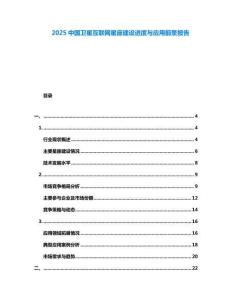 2025中國衛(wèi)星互聯(lián)網(wǎng)星座建設(shè)進度與應(yīng)用前景報告