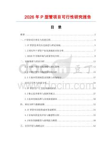 2026年P型管項目可行性研究報告