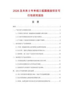2026及未來5年單相三極扁插座項目可行性研究報告