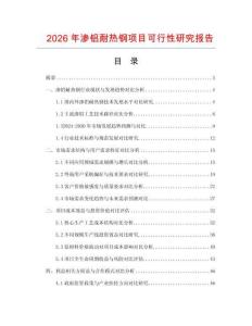 2026年滲鋁耐熱鋼項目可行性研究報告
