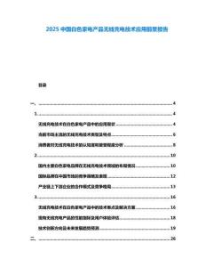 2025中國白色家電產(chǎn)品無線充電技術(shù)應(yīng)用前景報(bào)告