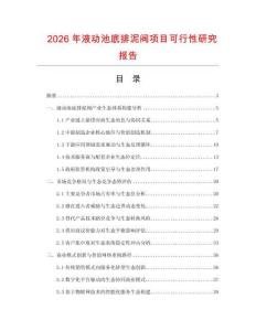 2026年液動(dòng)池底排泥閥項(xiàng)目可行性研究報(bào)告