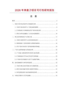 2026年角鑿刀項目可行性研究報告