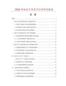 2026年蛭石片項(xiàng)目可行性研究報(bào)告