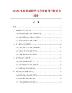 2026年新絲絨緞帛內(nèi)衣項(xiàng)目可行性研究報(bào)告