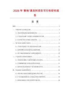 2026年“黃袍”清洗劑項(xiàng)目可行性研究報(bào)告