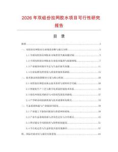 2026年雙組份拉網(wǎng)膠水項目可行性研究報告