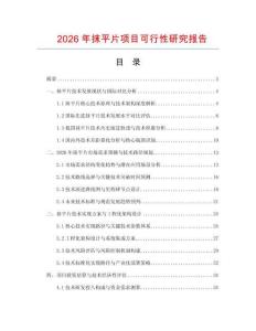 2026年抹平片項(xiàng)目可行性研究報(bào)告