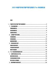 2025中国汽车电子国产替代进程与Tier供应商机会