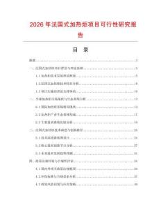 2026年法國式加熱炬項(xiàng)目可行性研究報(bào)告