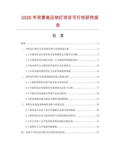 2026年雙管高壓鈉燈項(xiàng)目可行性研究報(bào)告