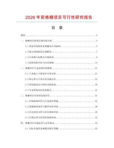 2026年前格柵項目可行性研究報告